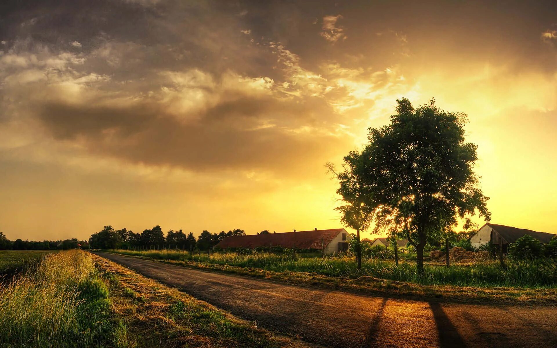 Country scenes. Природа деревня. Деревенский пейзаж. Пейзаж сельской местности. Вечер в деревне.