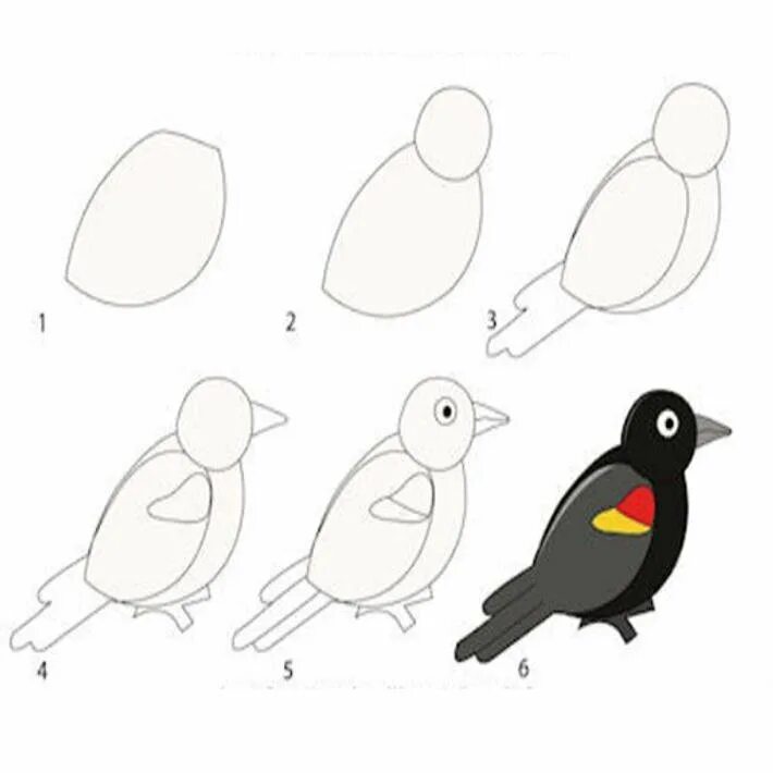 Как быстро нарисовать птицу