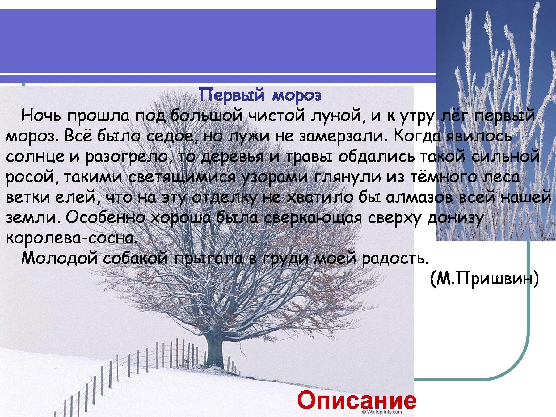 Сильный мороз предложение. Описание зимы. Сочинение на тему Мороз. Сочинение на тему зима. Описание зимнего.