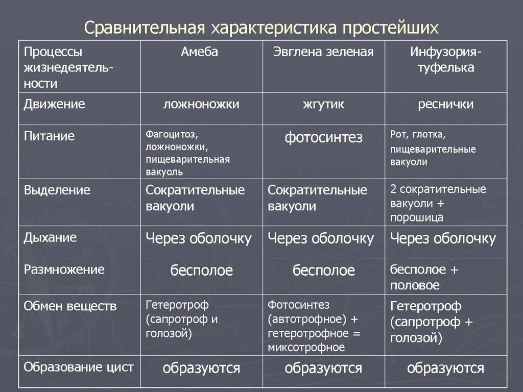 Различие простейших. Биология таблица сравнительная характеристика простейших. Сравнительная характеристика представителей простейших таблица. Общая характеристика простейших 7 класс биология таблица. Биология общая характеристика простейших таблица.