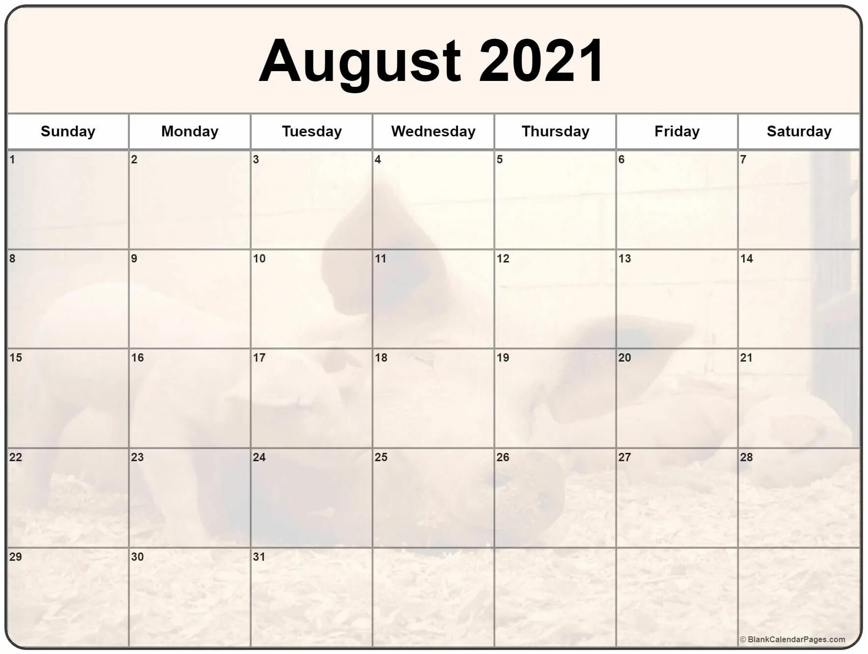 Календарь на ноябрь 2023. Календарь планер на декабрь 2022 год. Календарь декабрь 2022. Календарь планер на декабрь 2022. Календарь декабрь 2020.