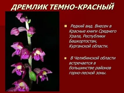 Виды растений из книги