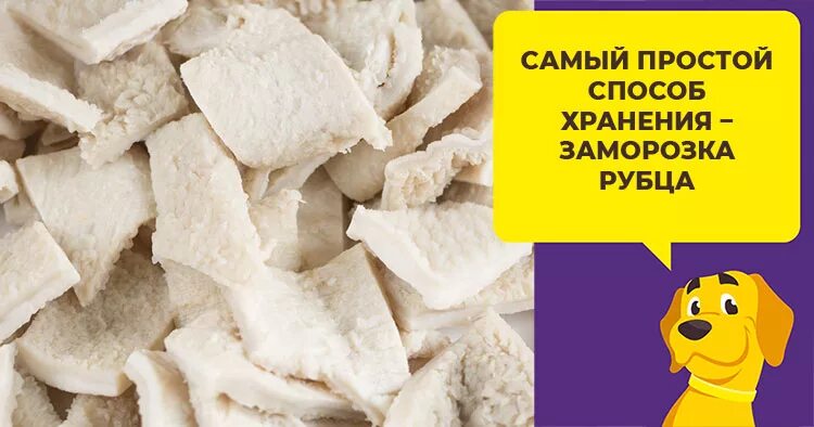 Можно ли давать рубец. Можно ли давать рубец