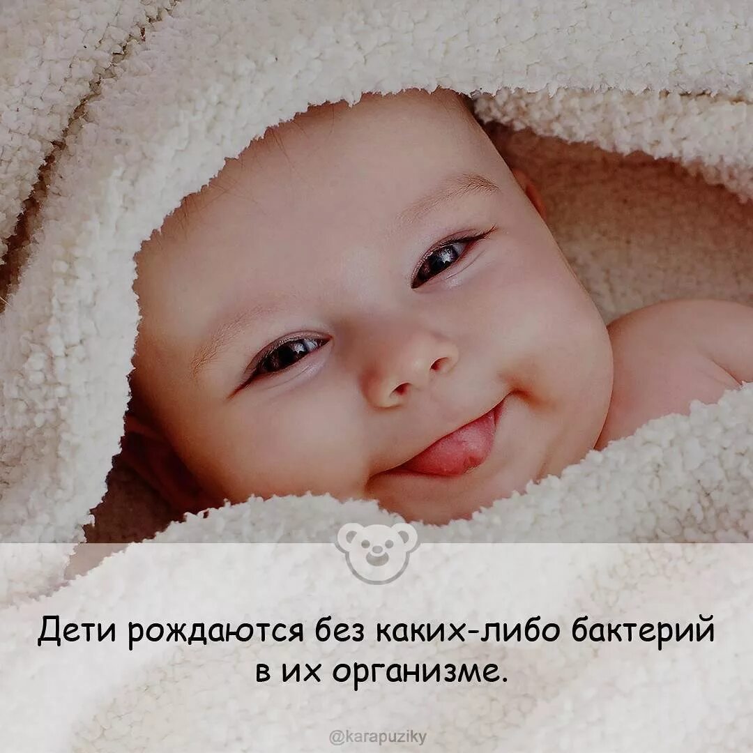 Интересные факты для детей. Факты про детей. Факты про детей. Интересные факты для детей. Факты о детях.