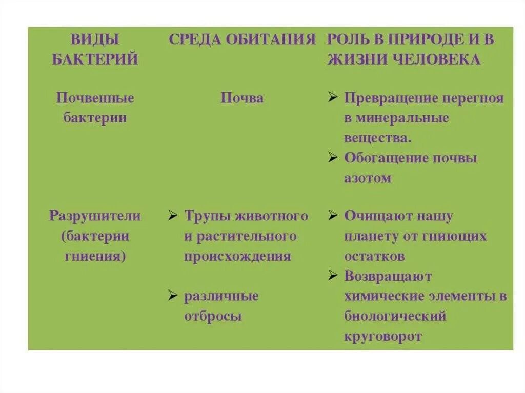 4 значения бактерий. Среда обитания почвенных бактерий. Способ питания почвенных бактерий. Виды бактерий и их значение. Положительные и отрицательные бактерии таблица.