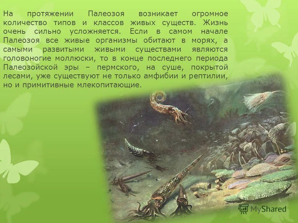 пермский период животные и растения. звероподобные рептилии. звероподобные пресмыкающиеся палеозойской эры. палеозой презентация 11 класс. палеозойская эра.