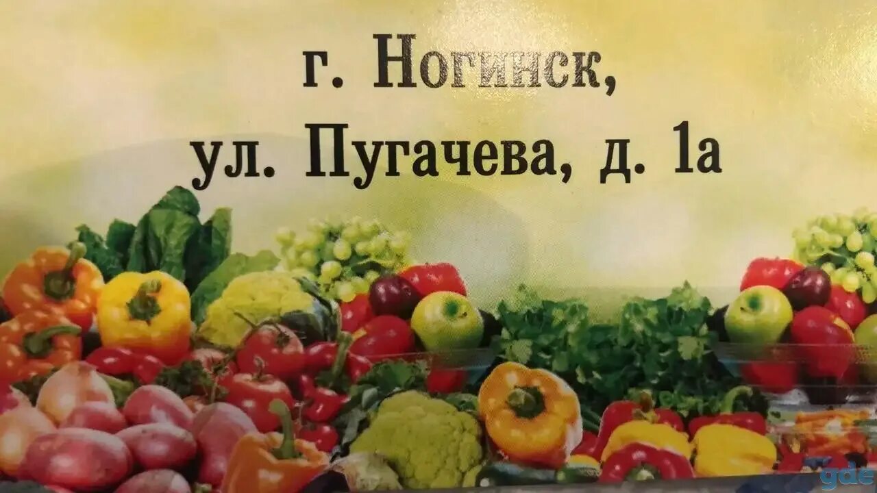 Фруктово овощная база. Овощная база Ногинск. База овощи фрукты. Пугачева 1 Ногинск. Пугачева 1а