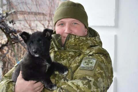 В каком году служили полтора года