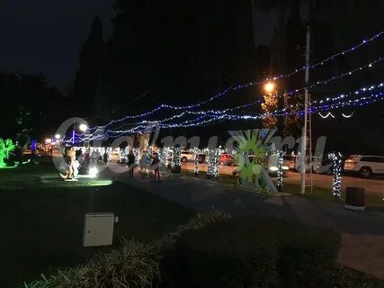 Погода новый адлер