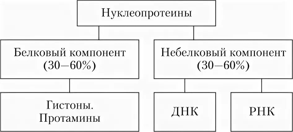 Белки компоненты