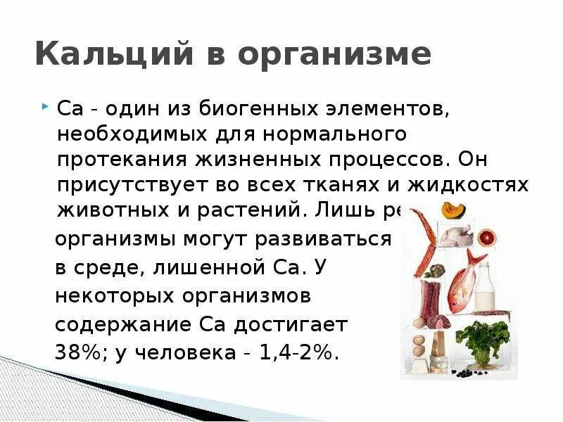 Соединения кальция в организме. Кальций в организме. Роль кальция в организме. Какое действие кальций оказывает на организм человека?. Функции кальция в организме человека.