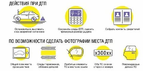 При дтп куда