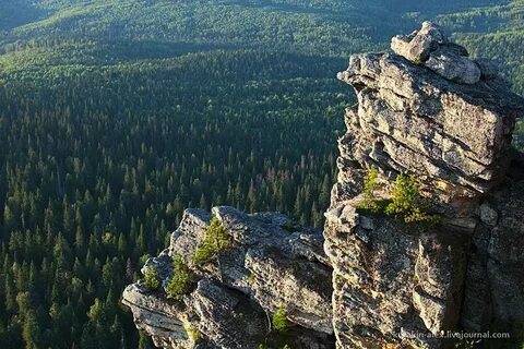 Северный урал состав