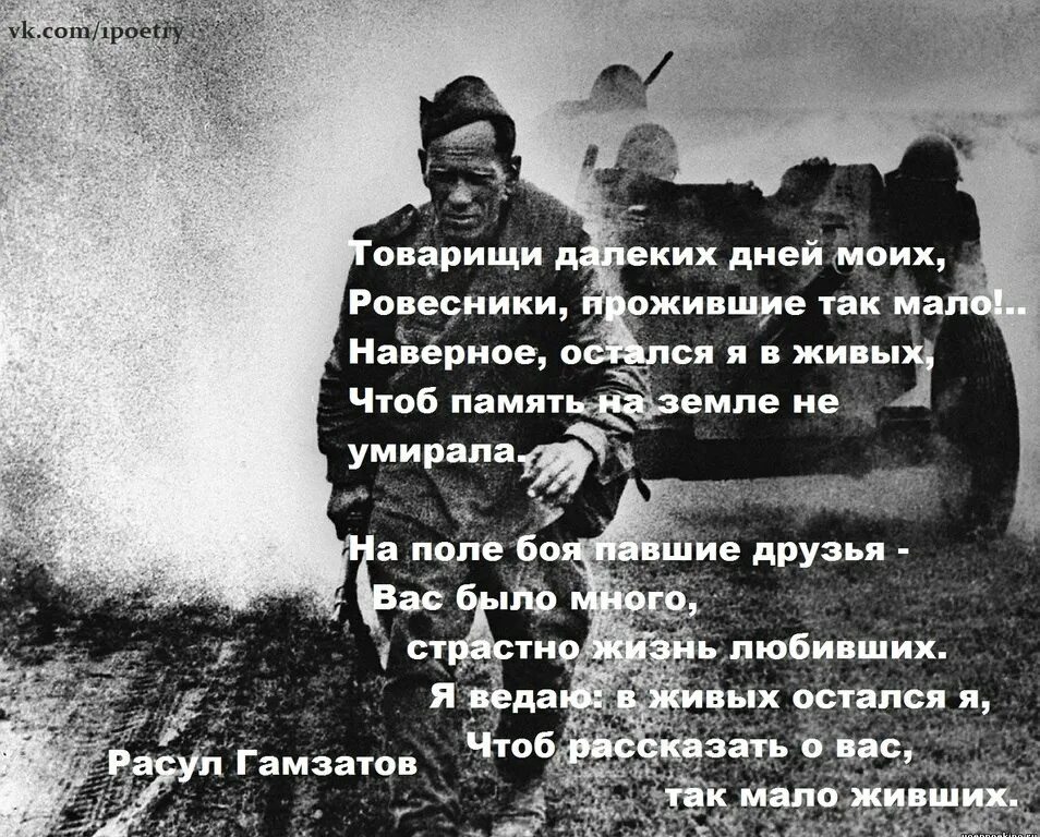 Мне тебя так мало текст. Стих товарищи далеких дней. Стих Расула Гамзатова товарищи далеких дней моих. Товарищи далеких дней моих ровесники прожившие так мало.