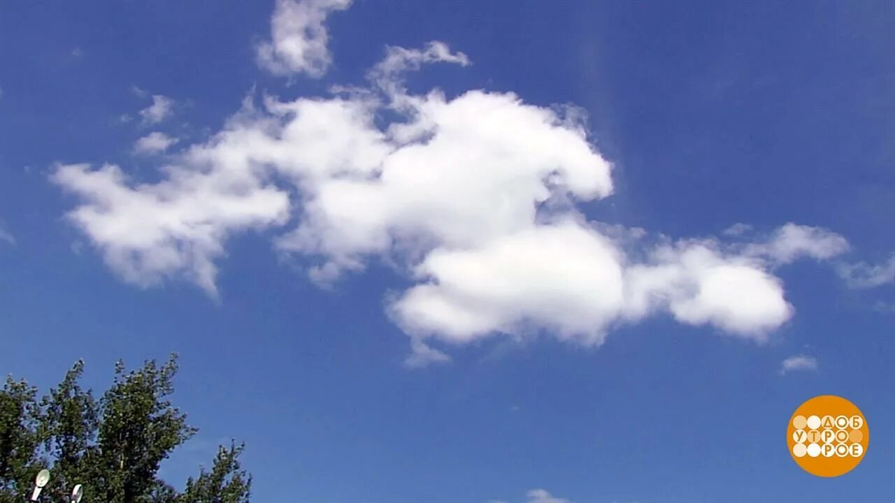 Облака белогривые. День наблюдения за облаками. День наблюдения за облаками 19 июня. Облака белогривые лошадки.