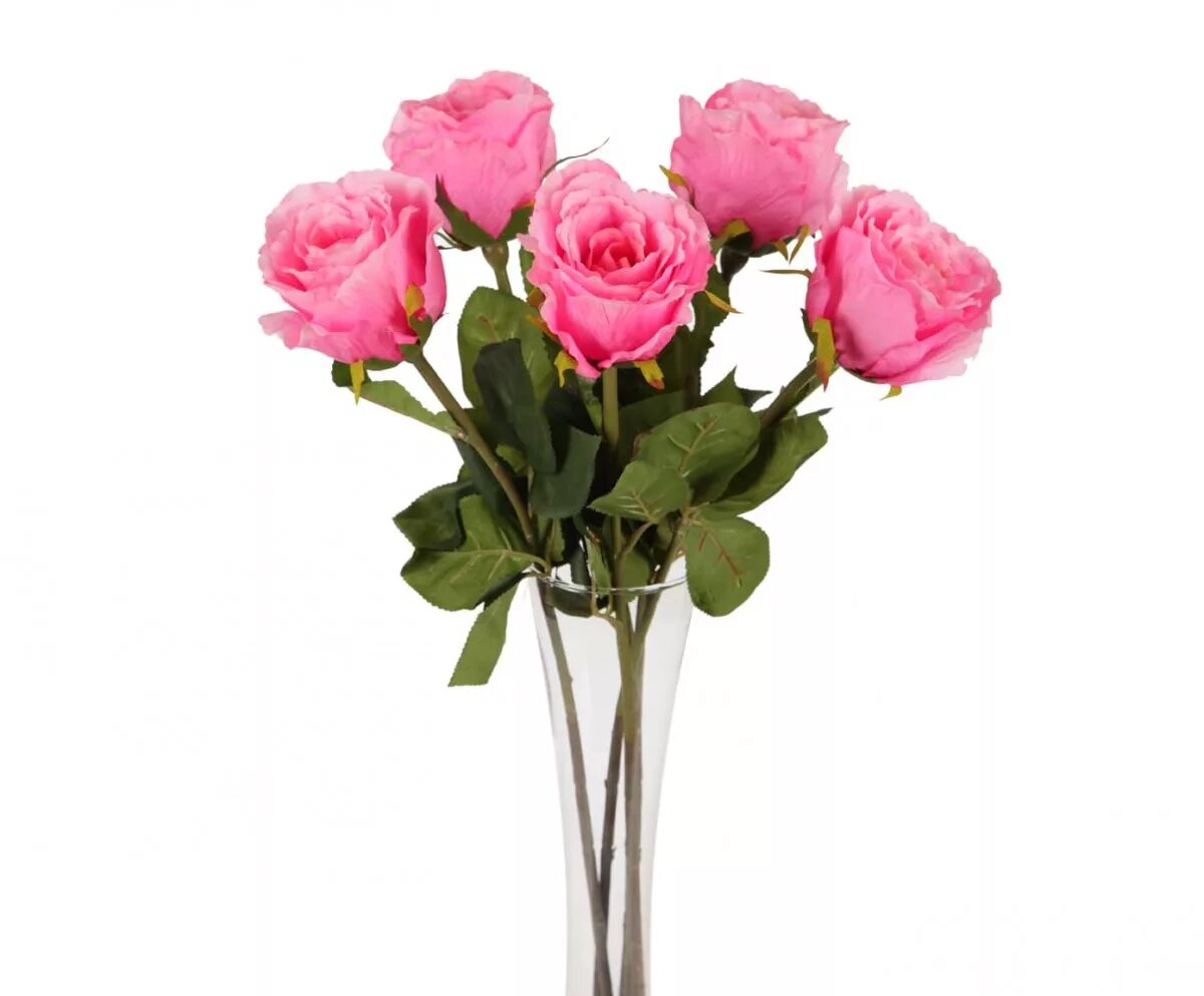 5 роз букет. 5 роз букет. Пять роз. Пять роз. Букет из 5 красных роз.