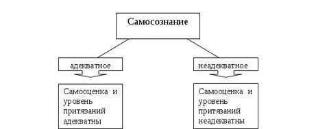 Общее самосознание это