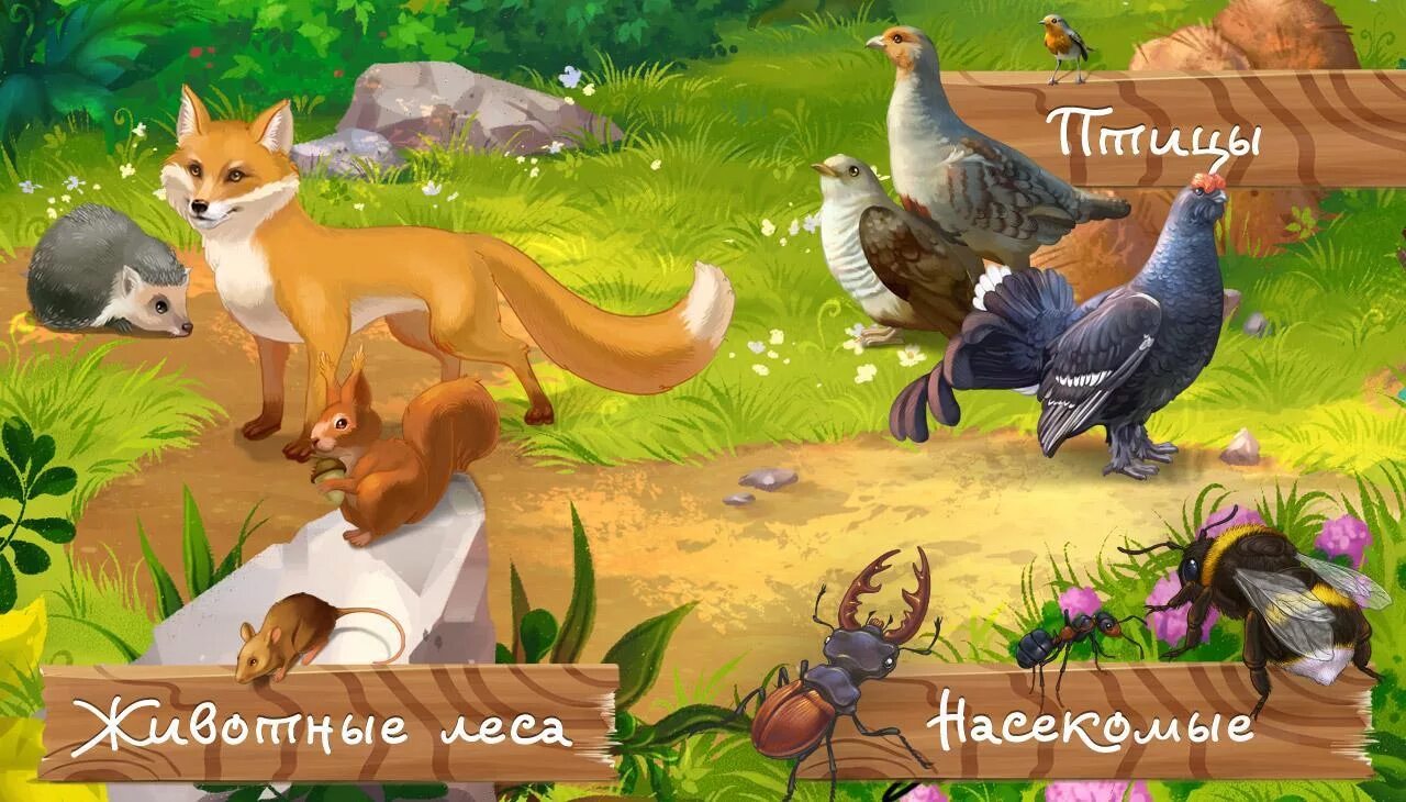 Звери игра детям. Кто живет в лесу картинки. Игра Лесные жители. Игра животные леса. Звери в лесу детская.