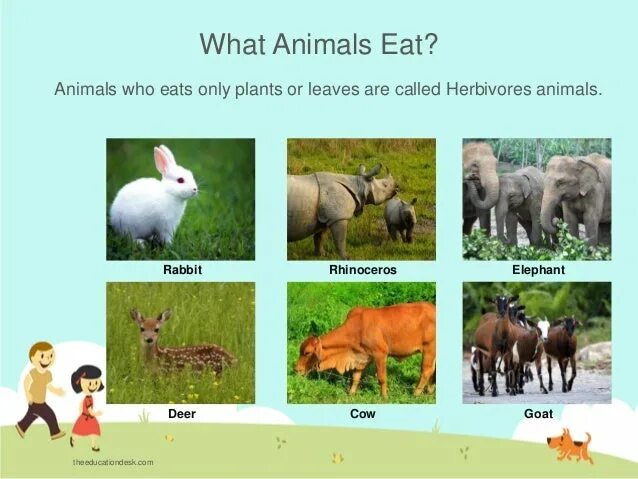 Красивый слон. Гиены в африке. Some animals. Some animals. Млекопитающие звери.