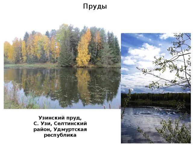 Водоёмы Удмуртии 2 класс. О водоёмах богатствах удмуртского края. Водные богатства Удмуртии 2 класс окружающий. Водные богатства удмуртии