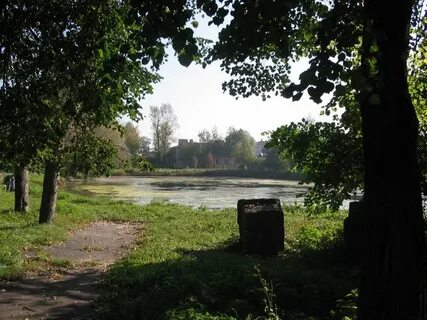Парки богородска