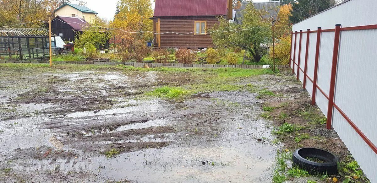 Дачный участок в низине. Затопило дачный участок. Весенний потоп на участке. Талые воды на участке. Деревья залитые водой