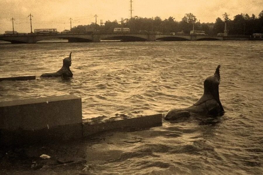 История наводнений в санкт петербурге. Наводнение в санкт-петербурге 1924. наводнение 1955 года в петербурге ленинград. набережная малой невки в санкт-петербурге. наводнение 1924 года в петербурге.