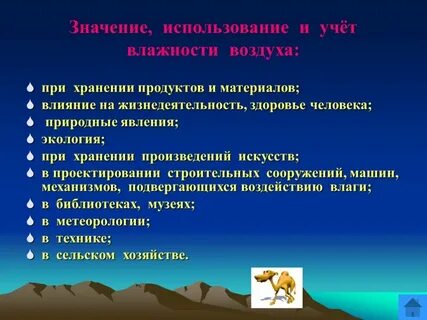 К чему может привести повышенная влажность воздуха