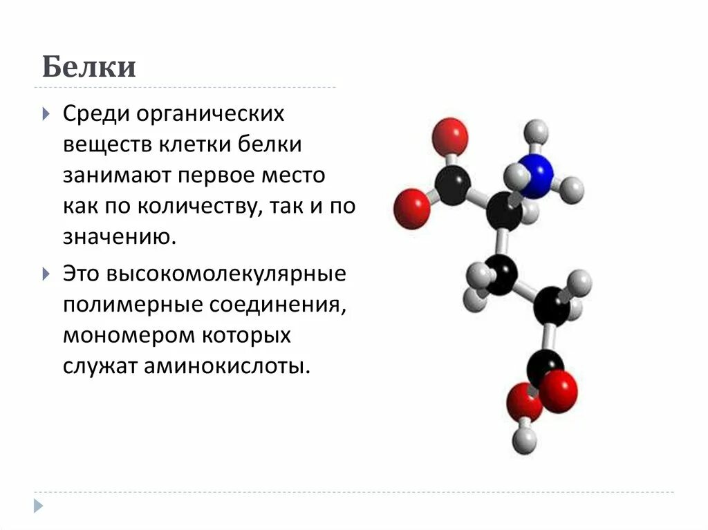 Белки органические вещества формула. Органические вещества клетки белки. Органические вещества клетки – белки. Строение молекулы,. Белки высокомолекулярные органические.