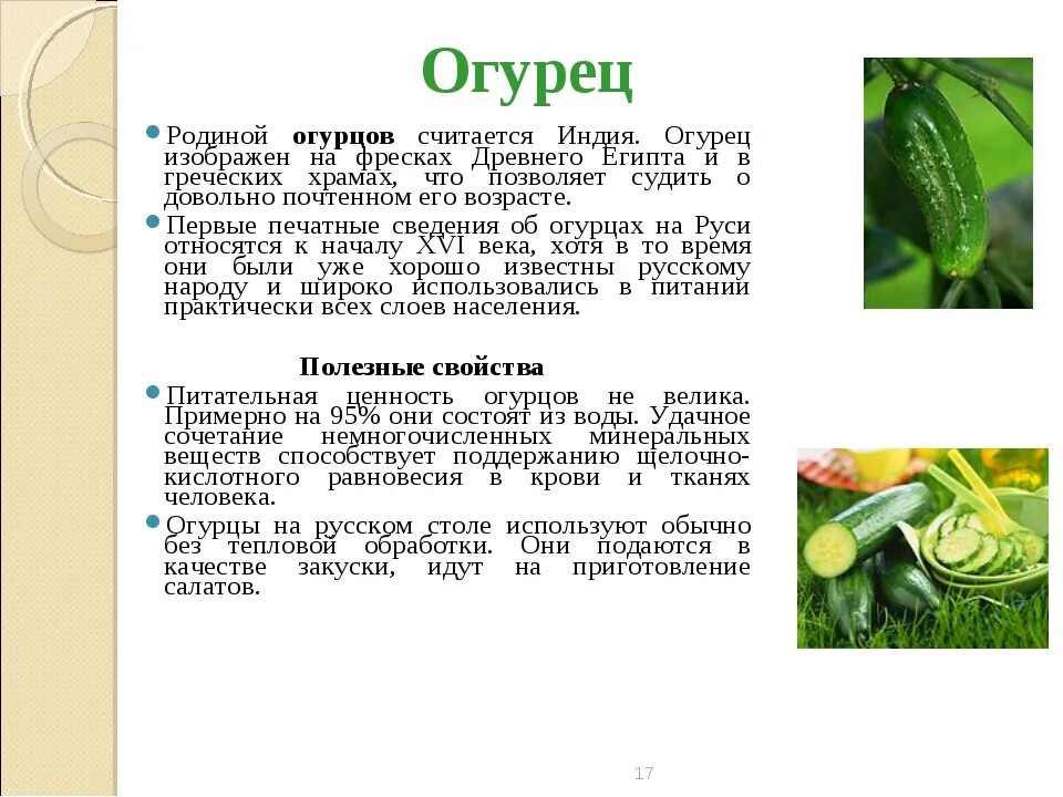 Доклад про огурец 2 класс окружающий мир. Доклад про огурец. Сообщение о огурце. Доклад на тему огурец. Культурное растение доклад 3 класс окружающий мир