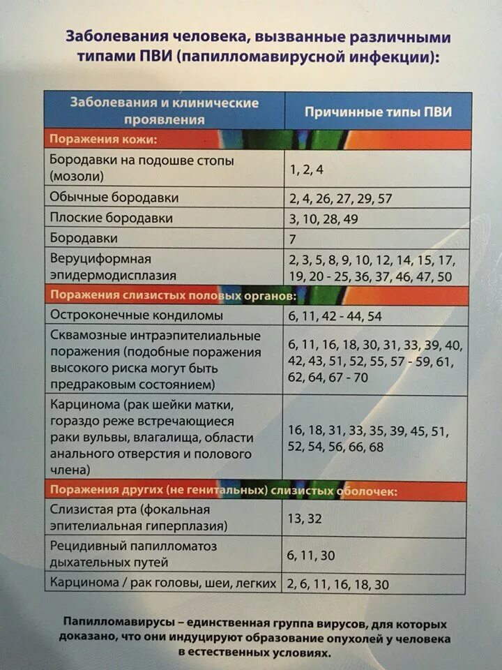 ВПЧ 3 типа. Вирус папилломы человека типы.