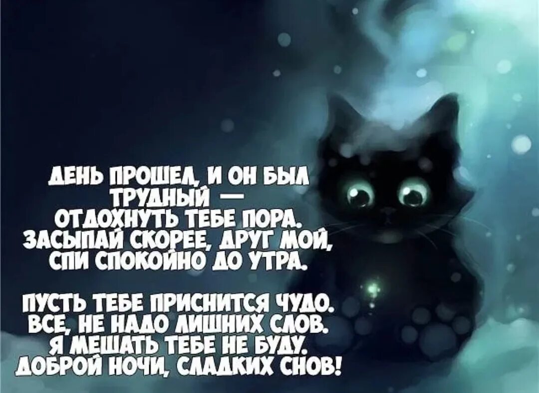 Спать другими словами. Прикольные пожелания спокойной ночи. Прикольныетпожелания спокойной ночи. Спокойной ночи стихи прикольные. Смешные пожелания спокойной ночи.