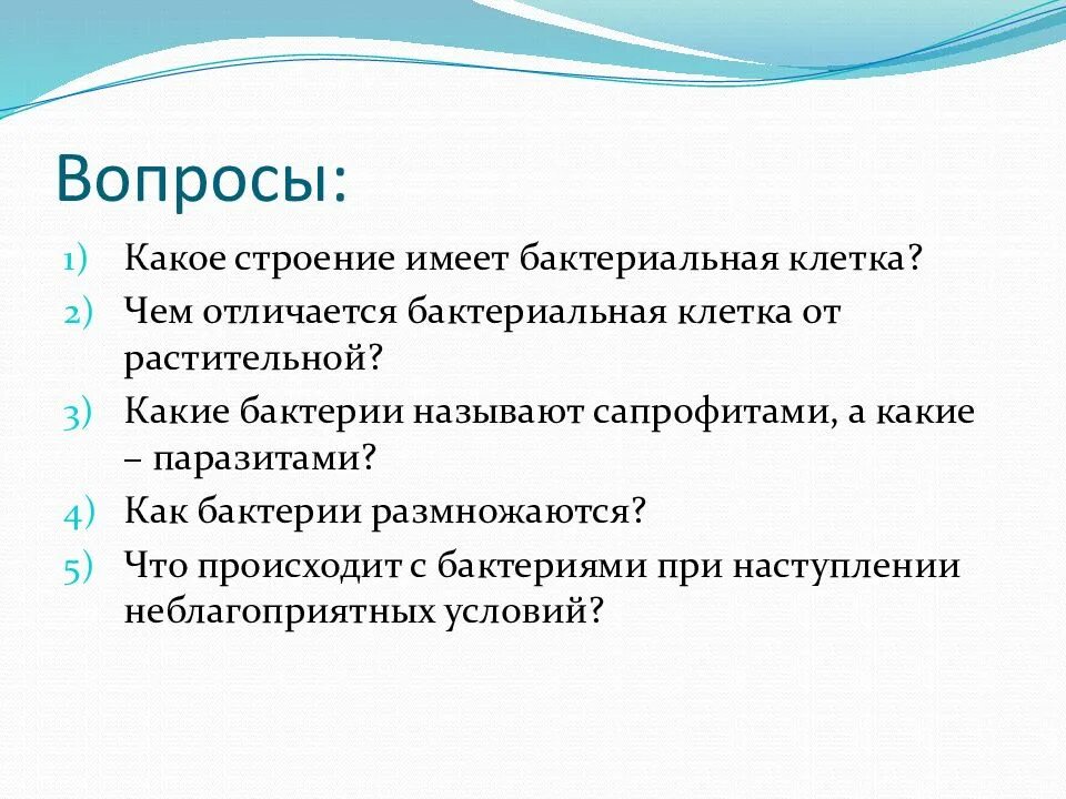 Отличие бактерий от растений. Бактериальная клетка в отличие от растительной клетки. Основные отличия бактериальной клетки от растительной. Чем отличается клетка от бактерии.