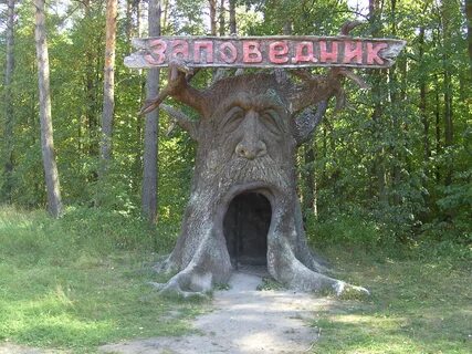 Как называется природный заповедник