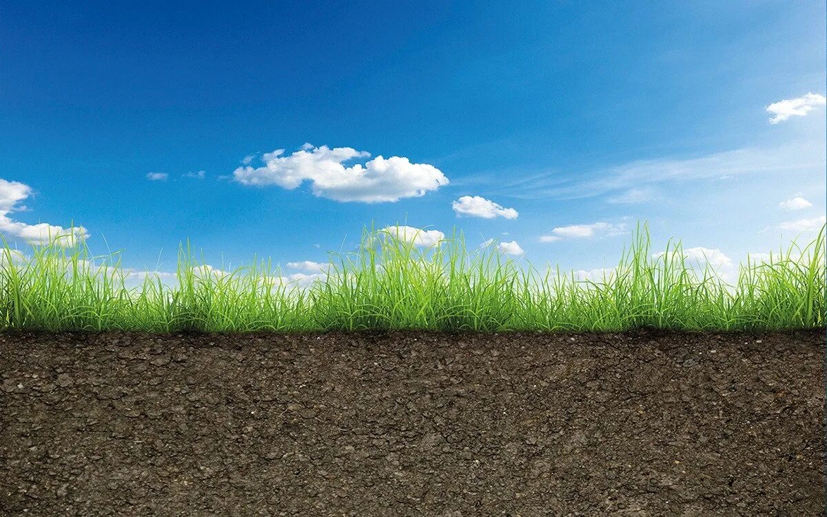 Ground
