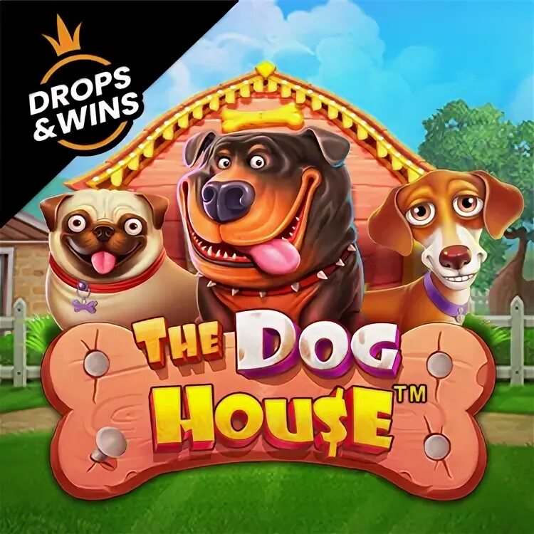 Dog House game. Дог хаус играть демо dog houses info