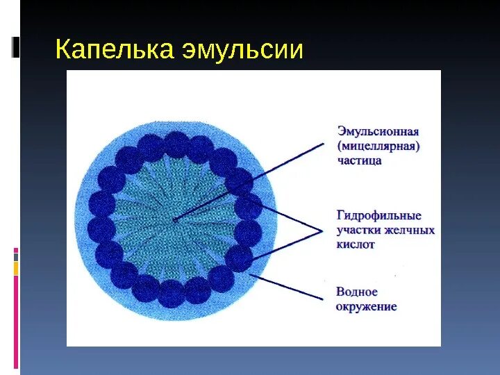 Прямая эмульсия. Строение эмульсий. Структура эмульсии. Строение эмульгаторов. Гидрофильная эмульсия.