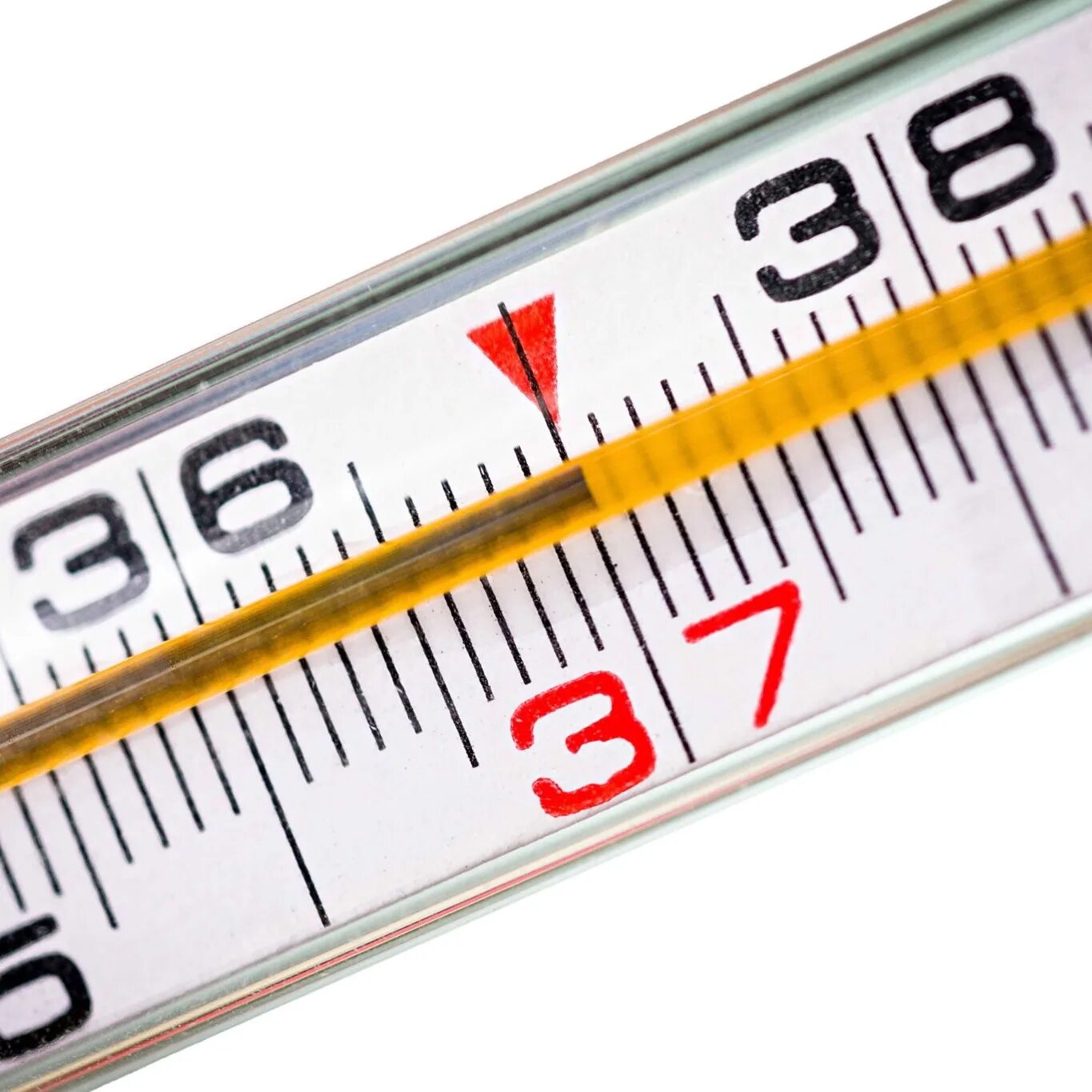 градусник рисунок. температура 39. самая низкая температура тела человека. нормальные показатели температуры тела. температура человека.