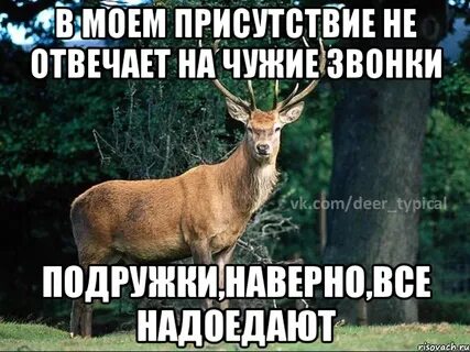 Конечно милая