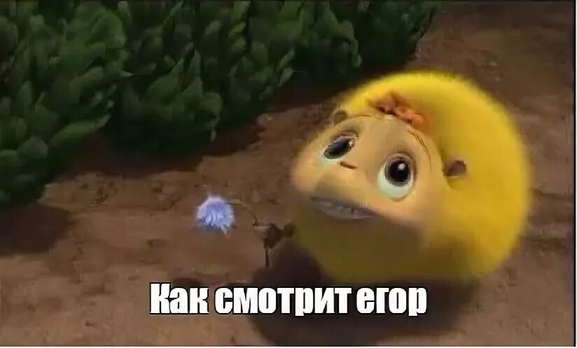 В моем мире живут только пони