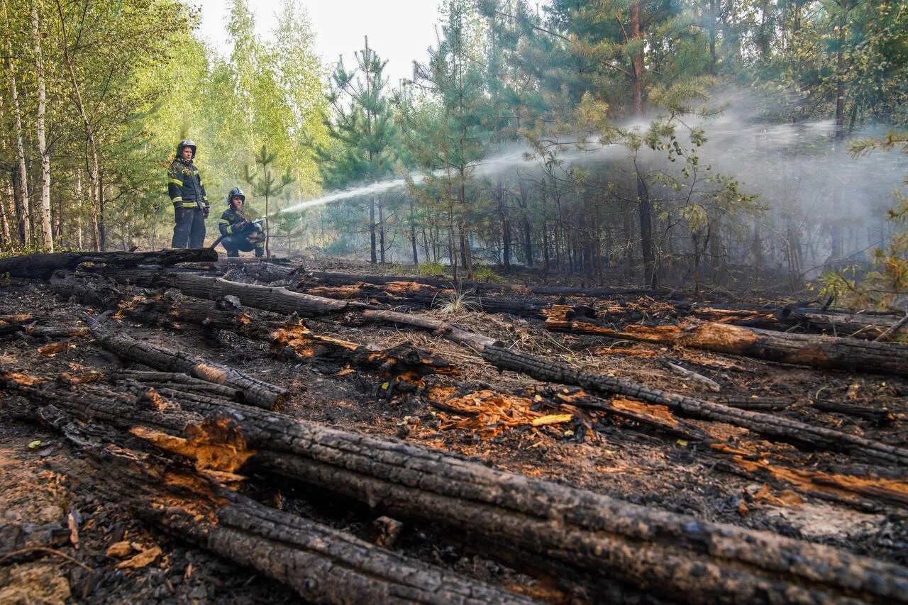 В каких областях пожар. Лесные пожары в Рязанской области в 2022г. Лесоторфяные пожары в Рязани. Лесные пожары в Рязанской области в 2022 году. Пожары лесов в Рязанской области.
