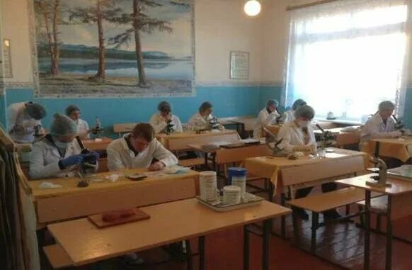 Усманский аграрный колледж. Ветеринарный техникум сорочинск. Техникум города сорочинск. Аграрный техникум сорочинск. Веттехникум сорочинск.