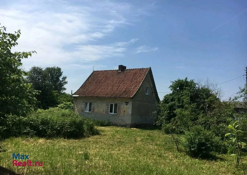 Авито калининградская область доска бесплатных. Петрово калининград. холмогоры калининградская область. посёлок петрова калининград. петрово гурьевский район.