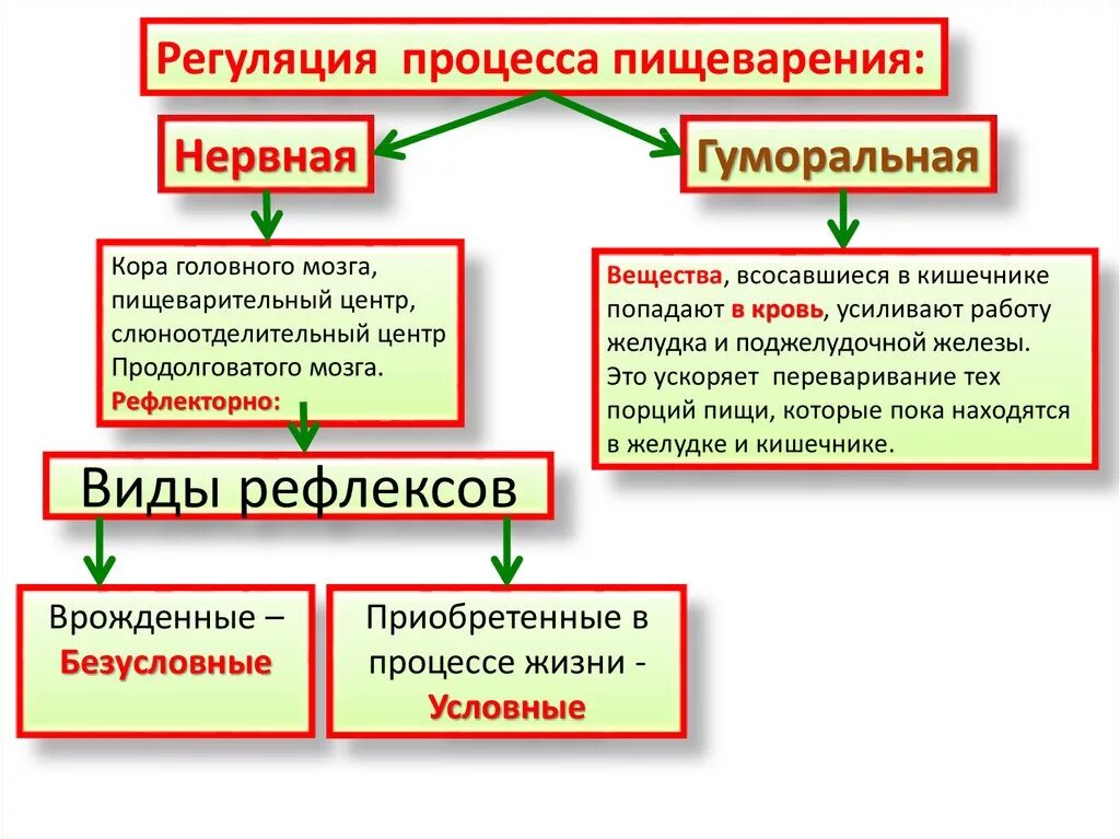 Приведите примеры рефлекторной и гуморальной органов пищеварения