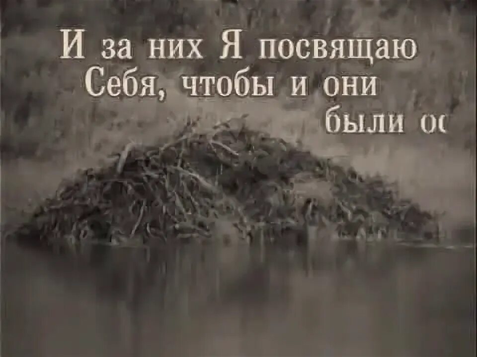 Песня жизнь посвящаю тебе. Всю жизнь посвятить тебе,. Христианская песня эти слова посвящаю тебе. Песня эти слова посвящаю тебе видео. Песня жить посвящена