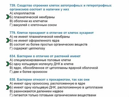 Особенности строения автотрофной клетки