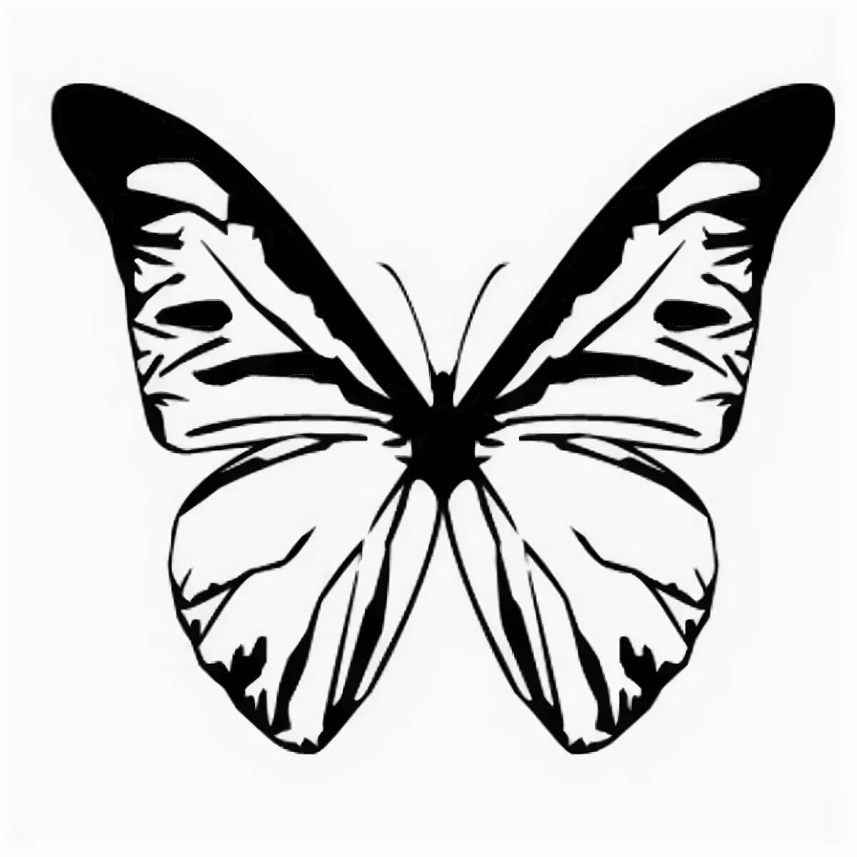 Распечатать и вырезать черно белые. Распечатать и вырезать черно белые. Трафареты бабочки. Трафареты бабочек для декора стены. Трафареты бабочки.