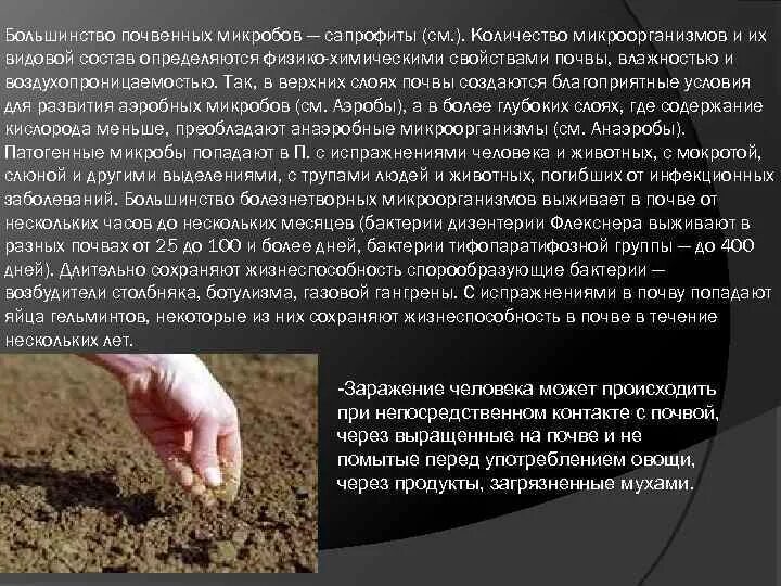 Инфекции через почву. Инфекции в почве. почва как источник инфекции. почва патогенные микроорганизмы почвы. источники заражения почвы.