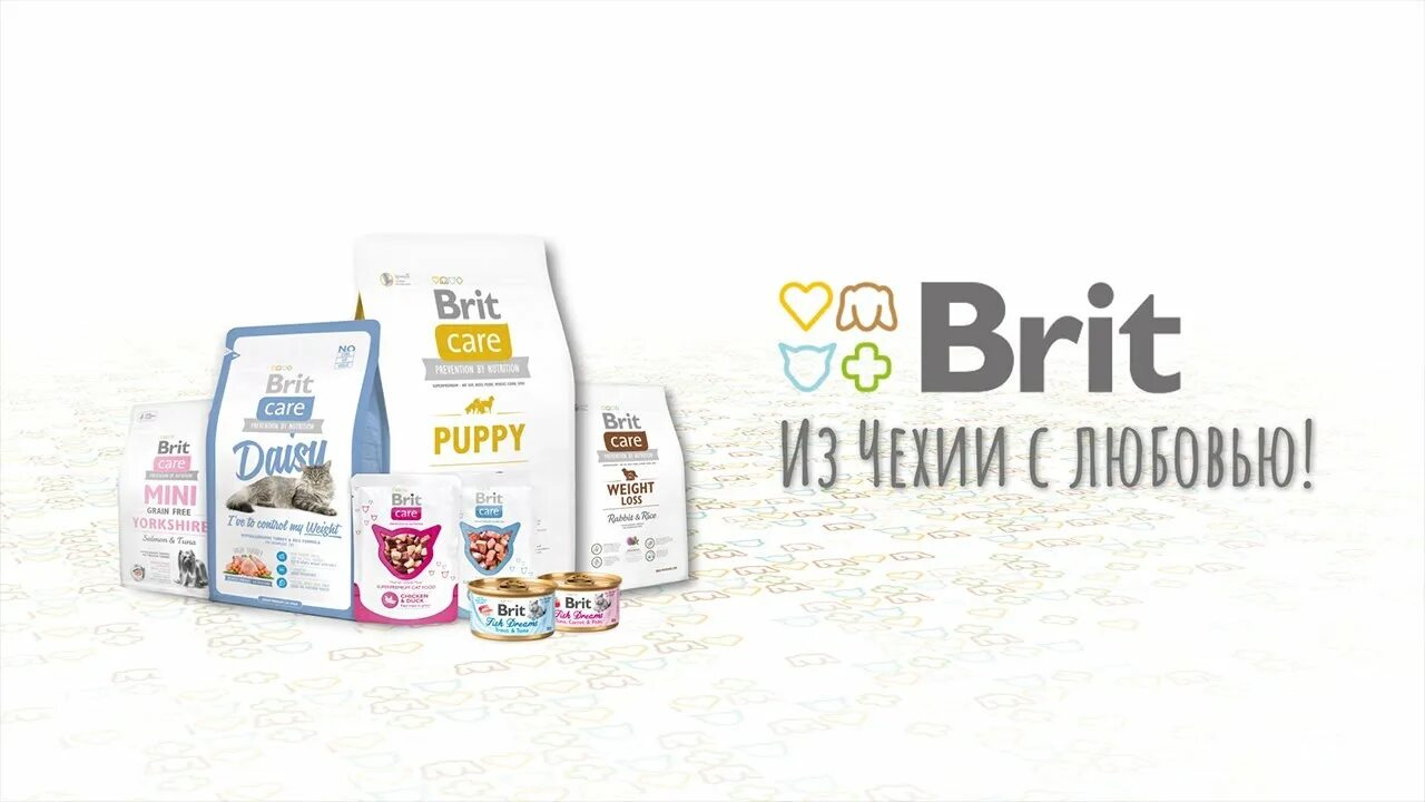 Brit Care Daisy (2 кг). Brit Care для кошек. Корм Брит реклама. Brit Care для кошек вредных.