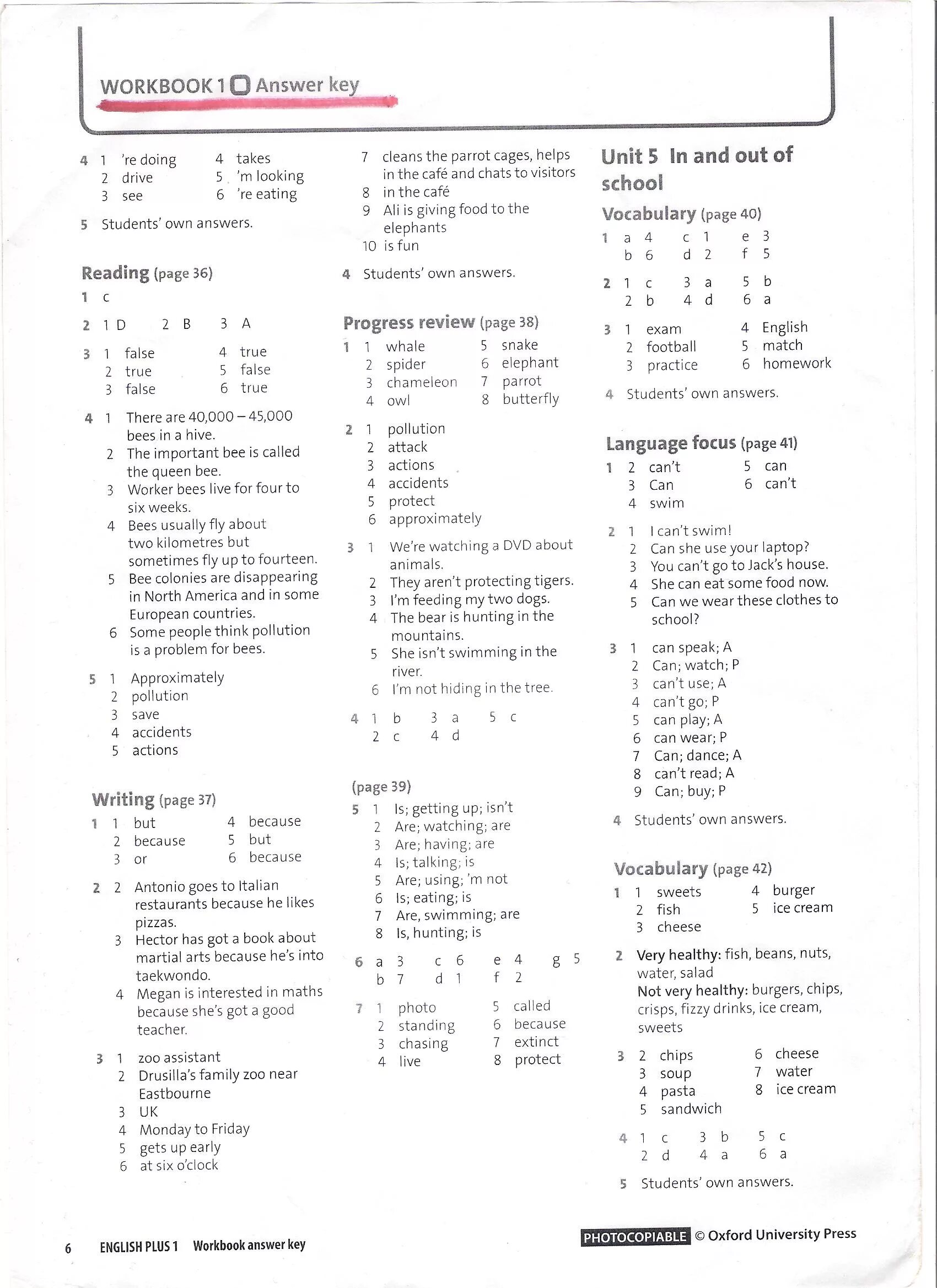 English Plus Grade 9 Workbook answer Key. English Plus 2 Workbook ответы рабочая тетрадь. Workbook Unit 2. English Plus. Student book 1.